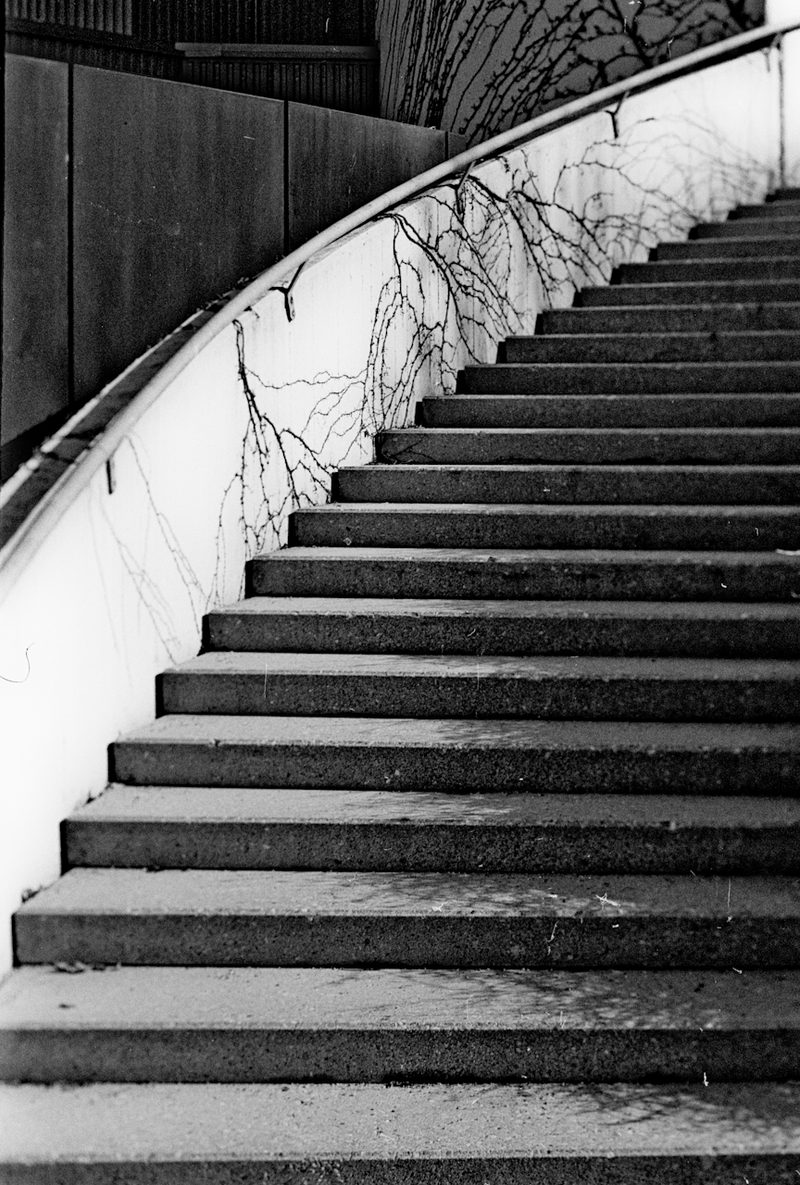 20100326-scan0004