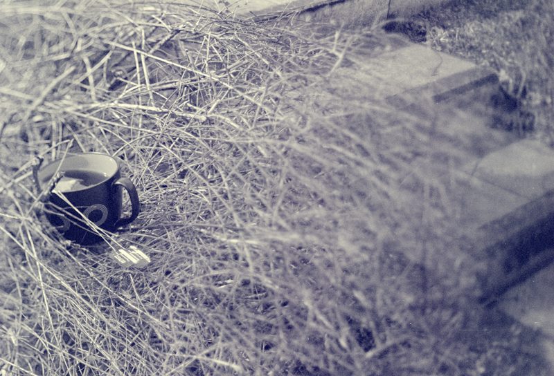 20100330-20100327-scan0009