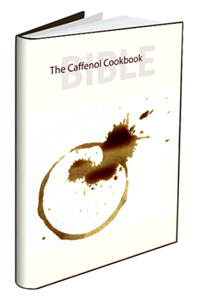 The Caffenol Cookbook & Bible is a project by large format photographer Bo Sibbern-Larsen who got eight other photographers together to write a book about caffenol. It’s a free book, available for do